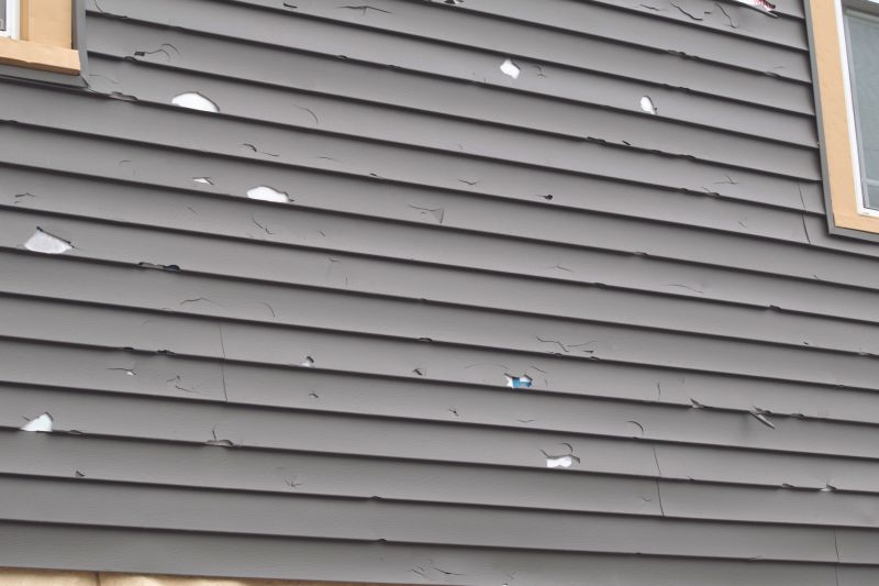 Siding Service in Wheat Ridge, CO
